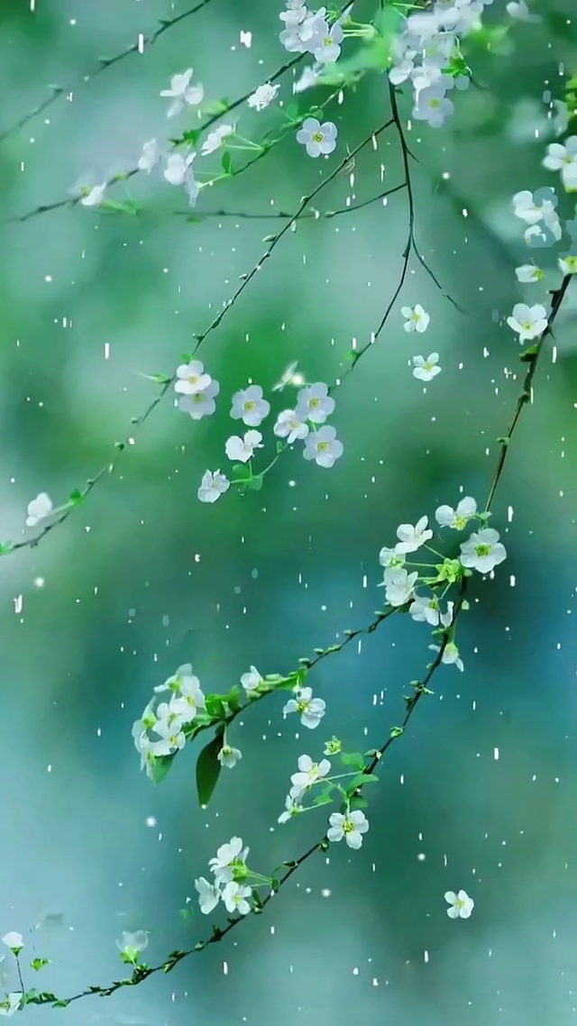清明时节雨纷纷