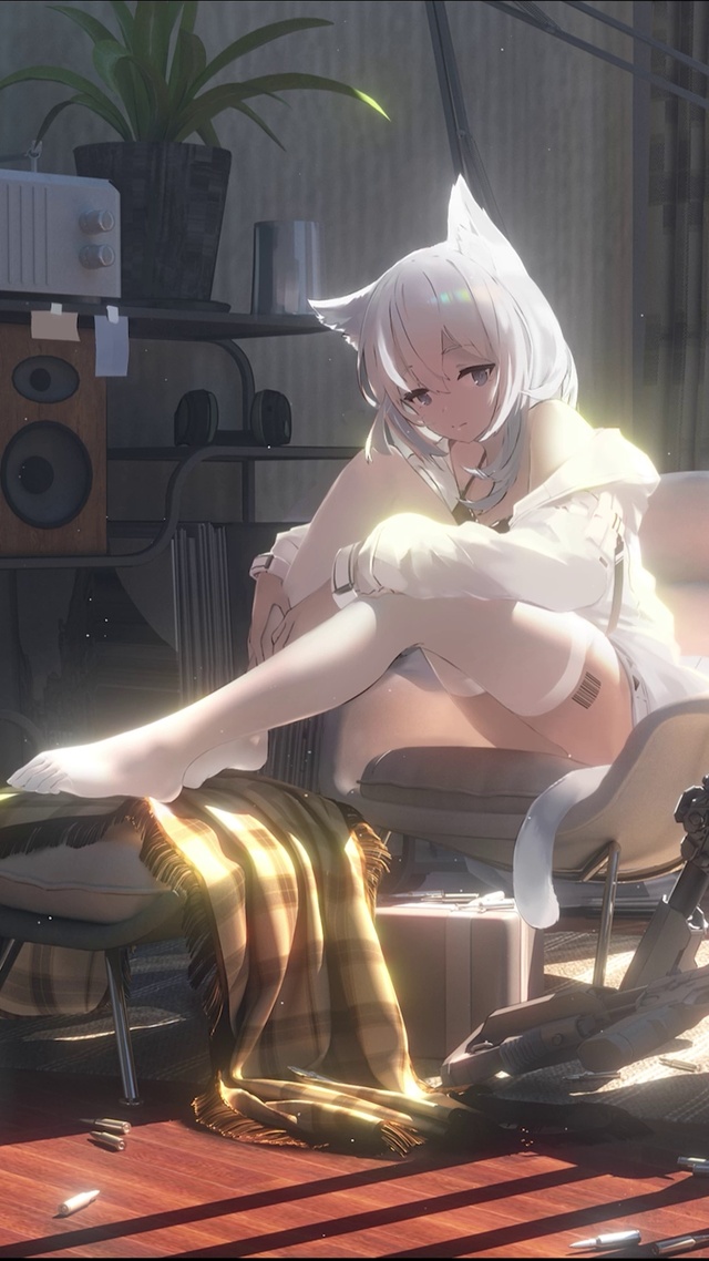 明日方舟白面鸮