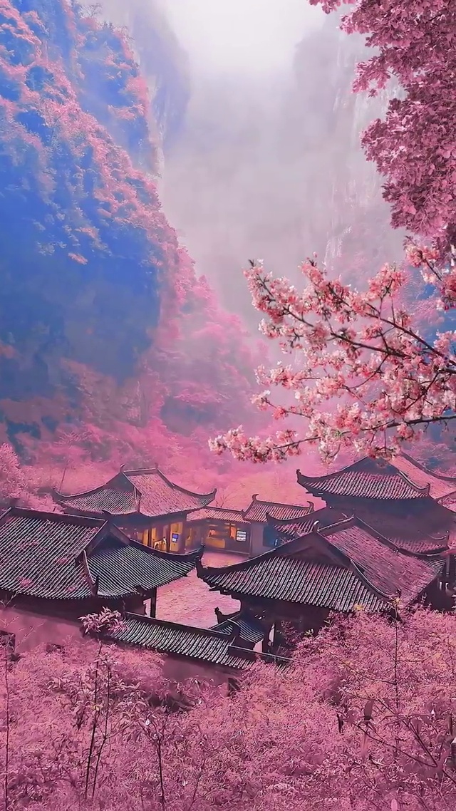 江南四季