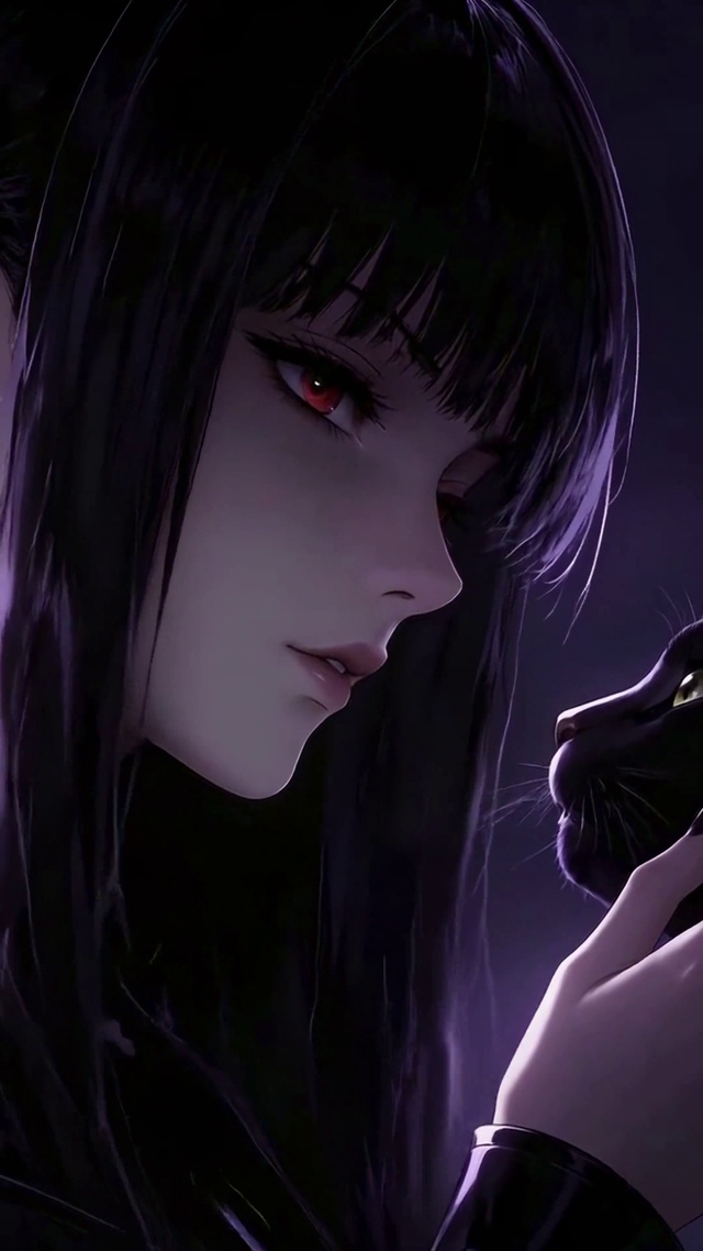 紫夜少女与黑猫