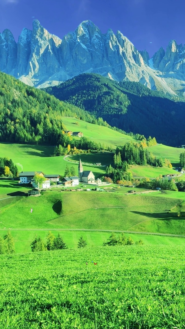 温暖朝阳，生机盎然