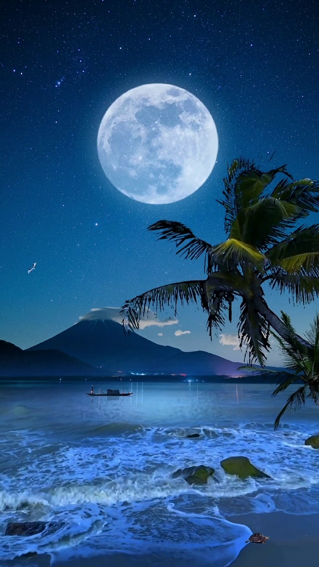 月光下的海滩