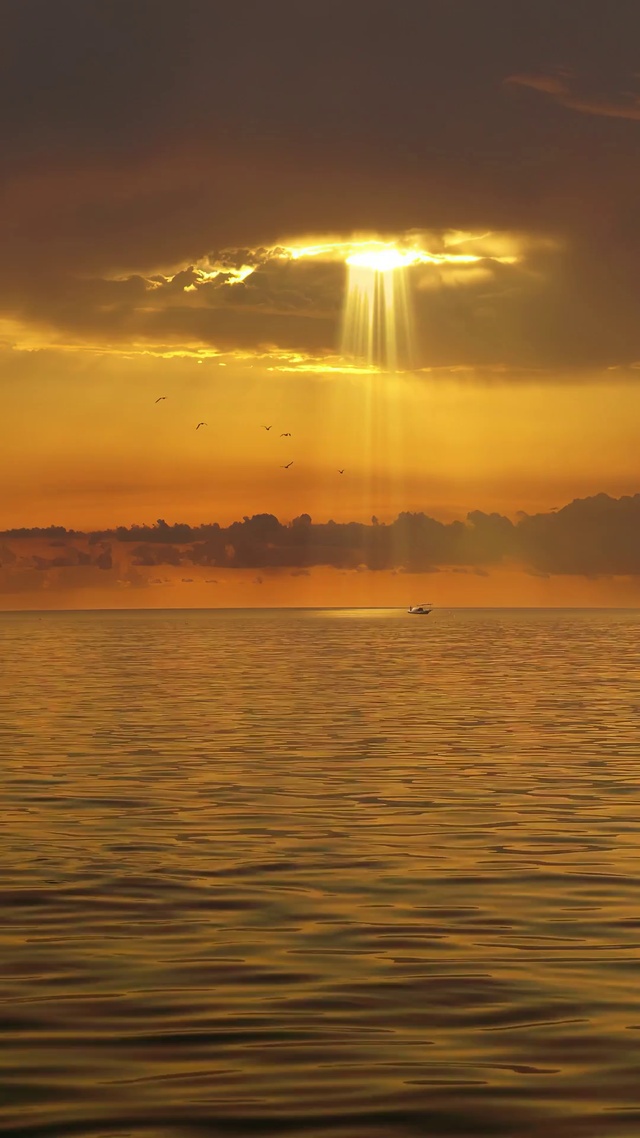 我曾遇见一束光