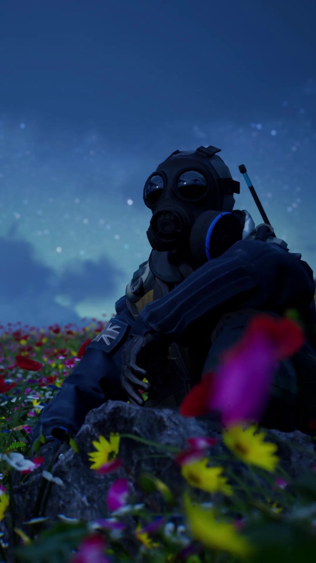 CS花海