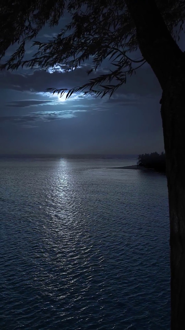 海上明月