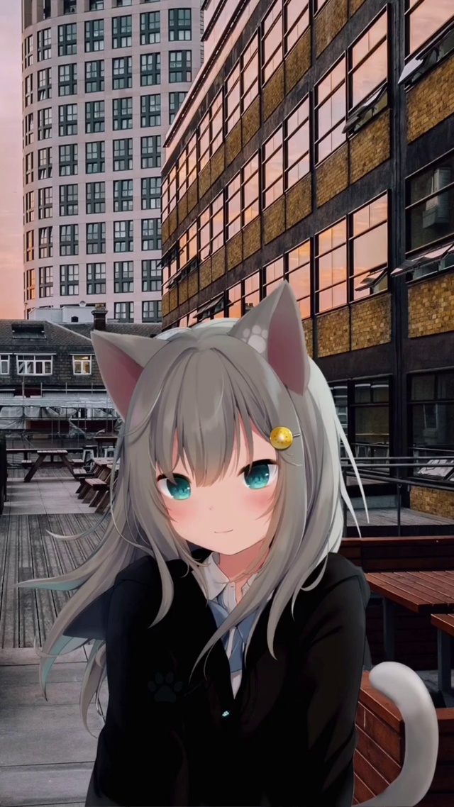 猫羽雫现实动态壁纸