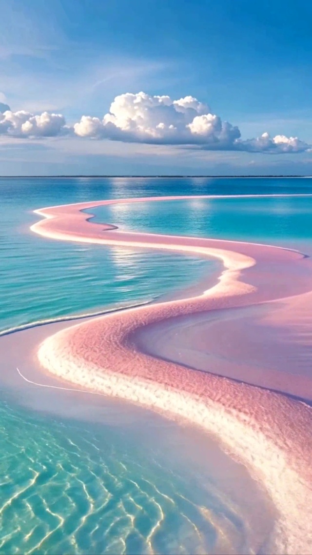 浪漫海岸线