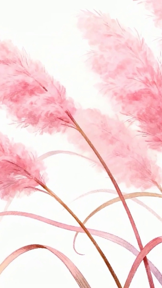 芦苇花