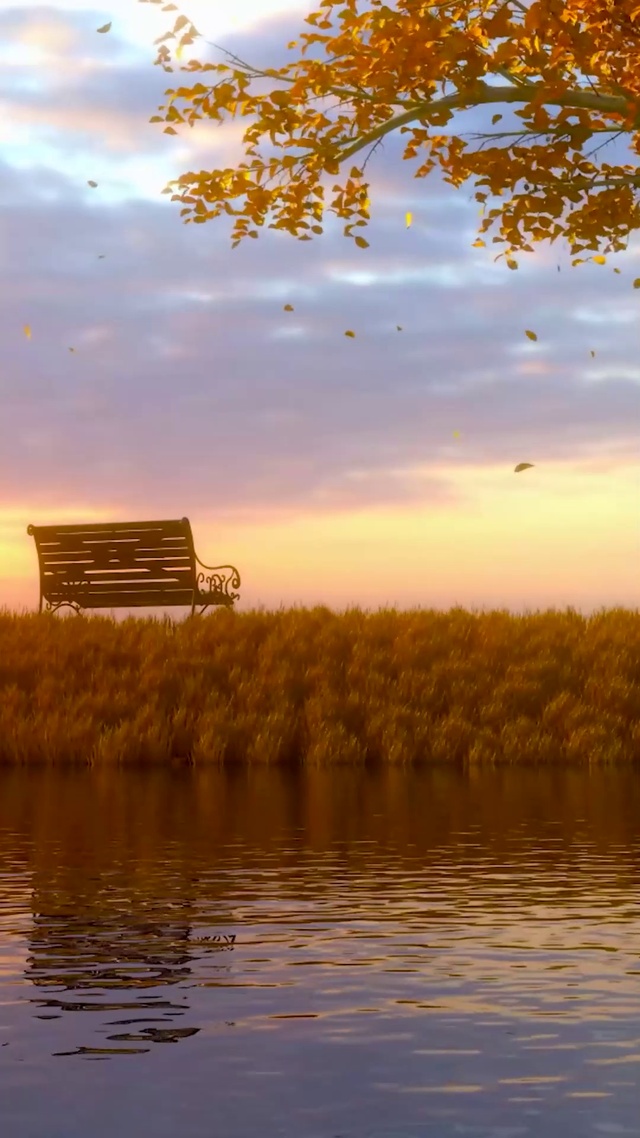 唯美秋天傍晚落叶湖畔