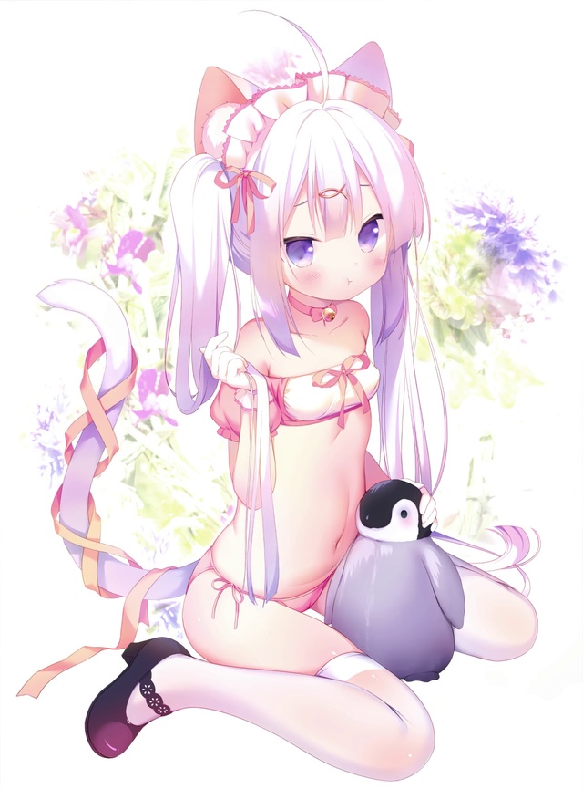 猫娘 小可爱