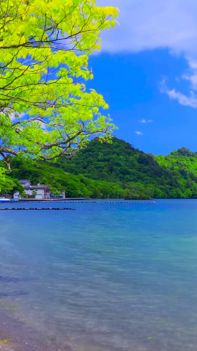 夏日青山湖畔