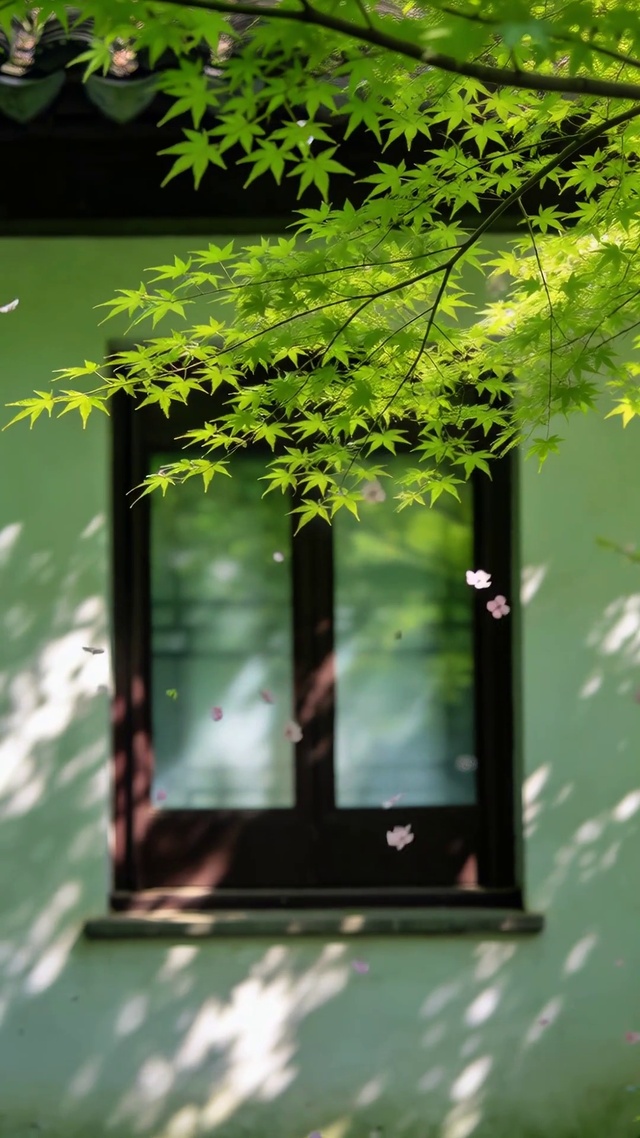 清新护眼壁纸