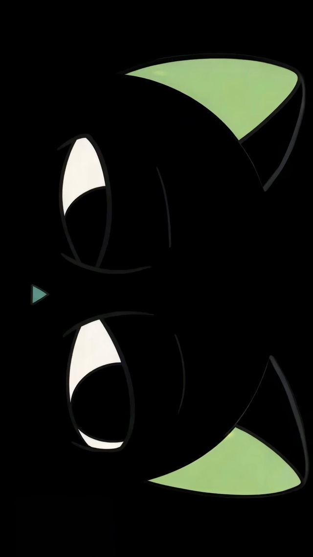 灵动大眼小黑猫