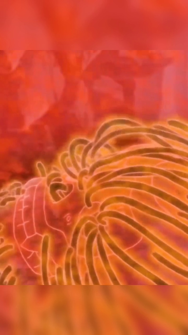 须佐能乎宇智波鼬