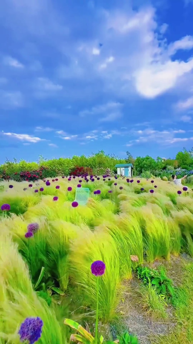 养了眼，醉了心