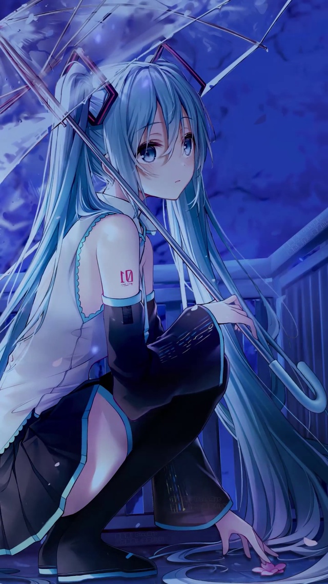 【夜晚】初音未来 樱之雨