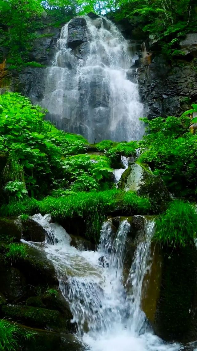 护眼绿林瀑布流水
