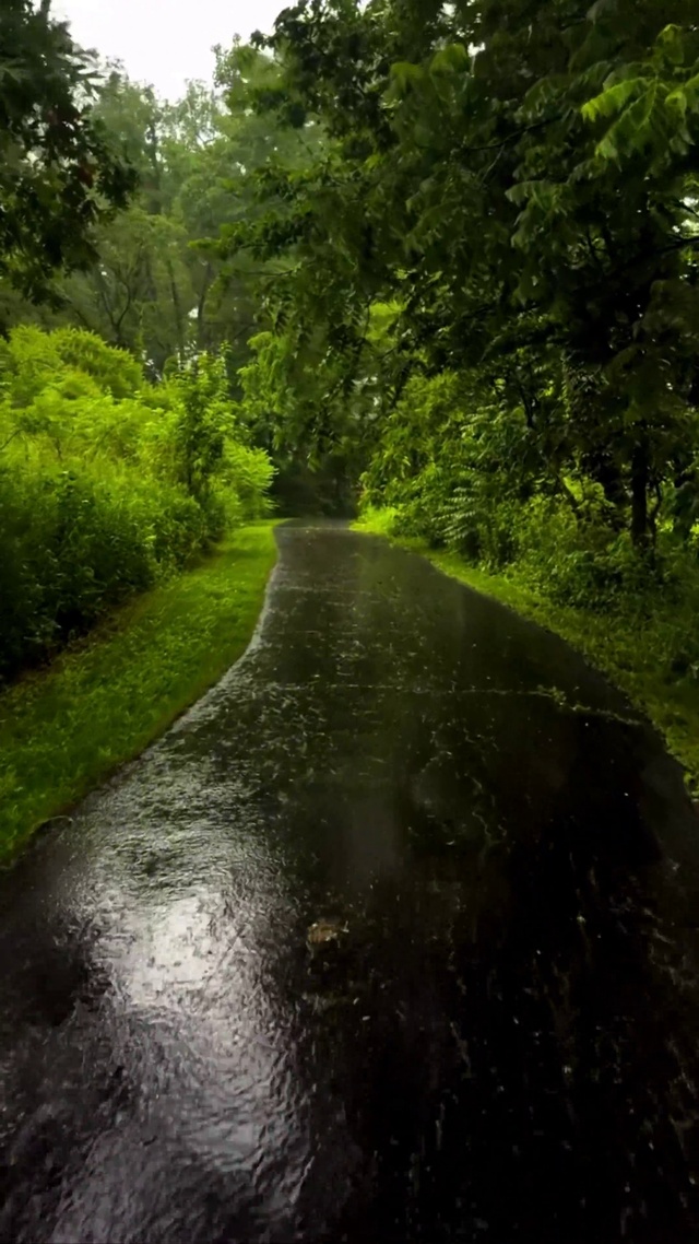 雨中小路