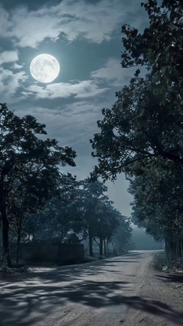 静谧满月乡村夜景