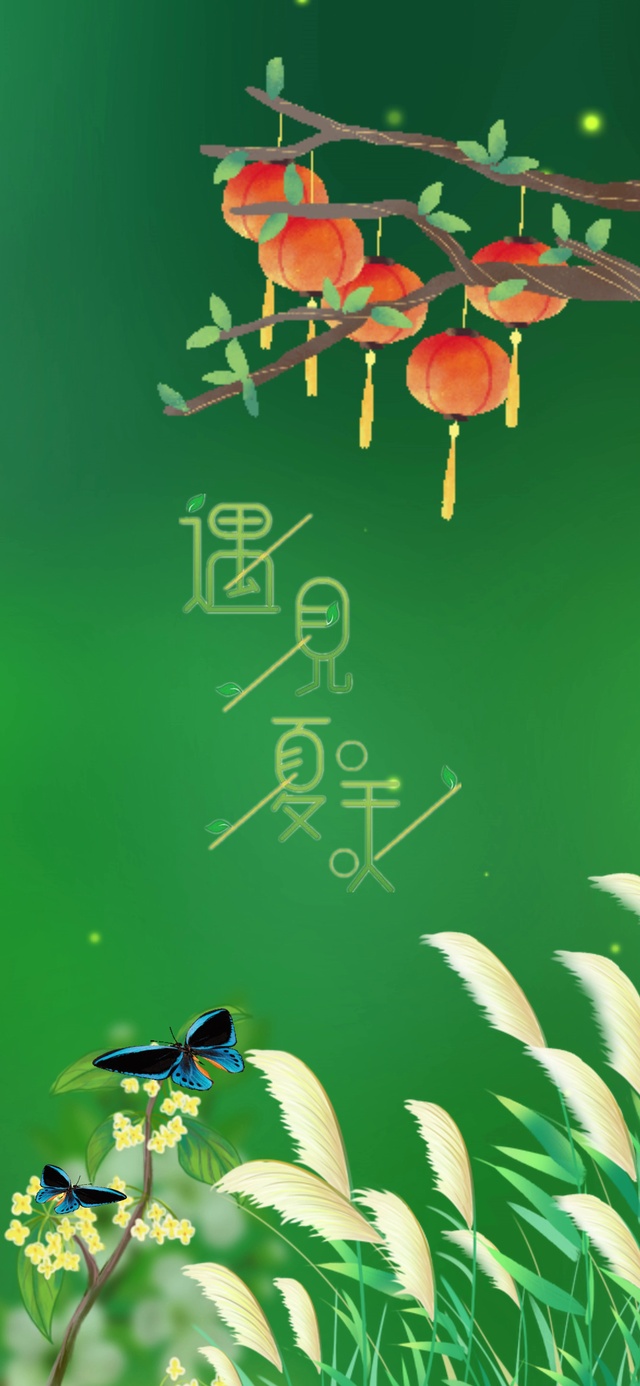 遇见夏天