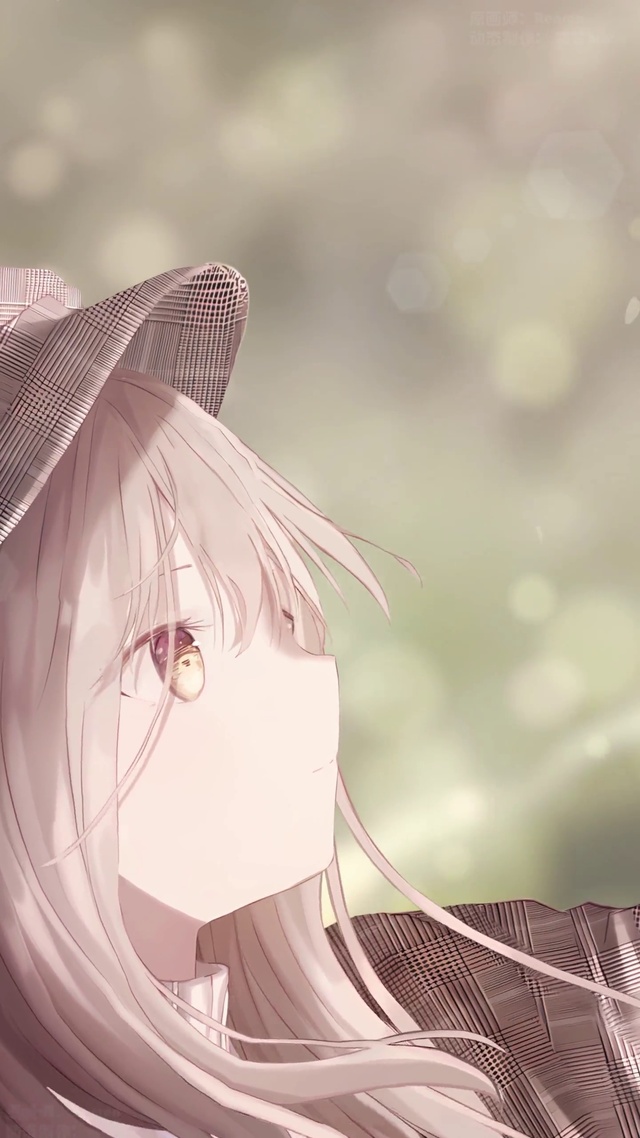 晨の光