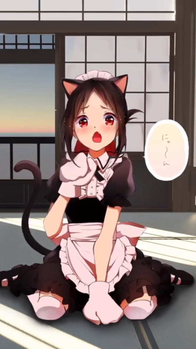 猫女仆四宫辉夜