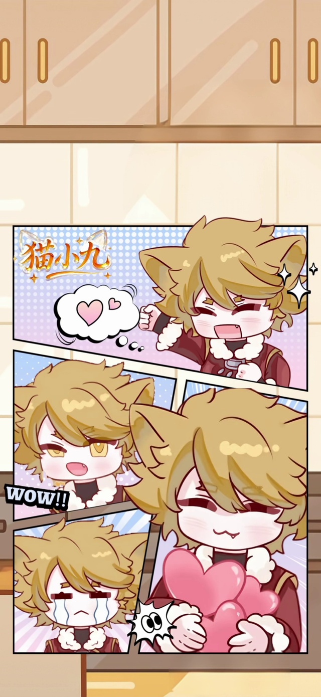 猫小九1