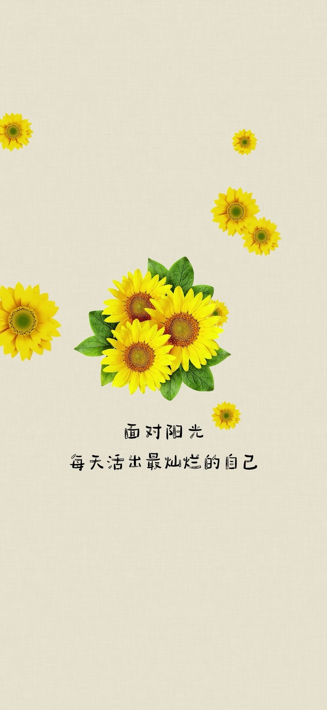 灿烂的自己