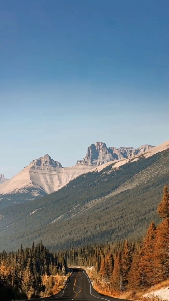 风景