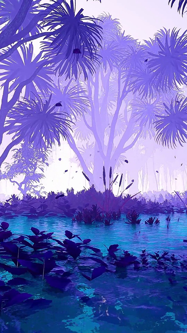 丛林秘境