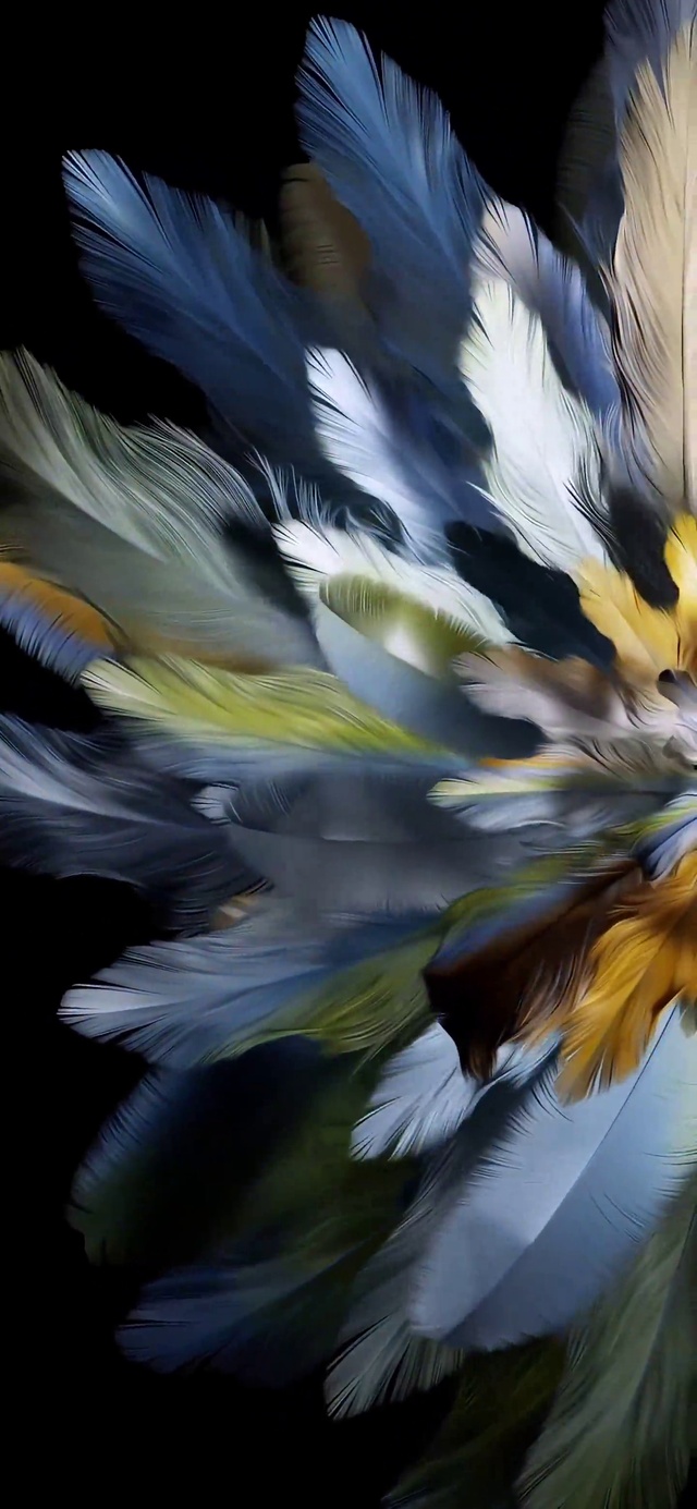 4K开屏单色动态壁纸①