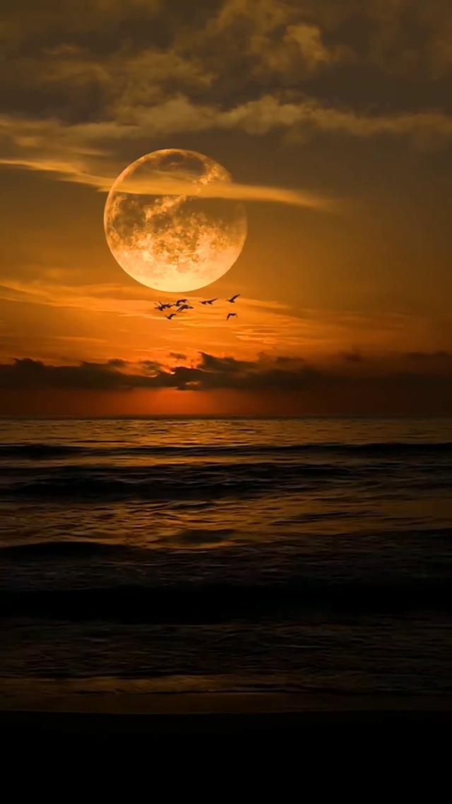 海上升明月