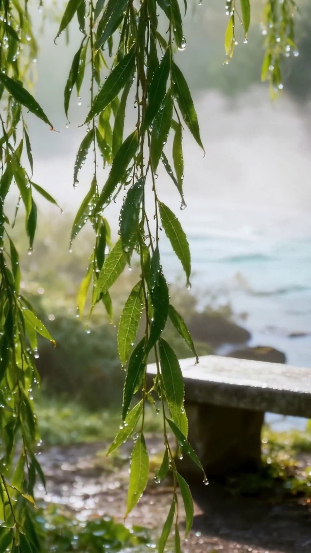 雨后河畔清新自然风景