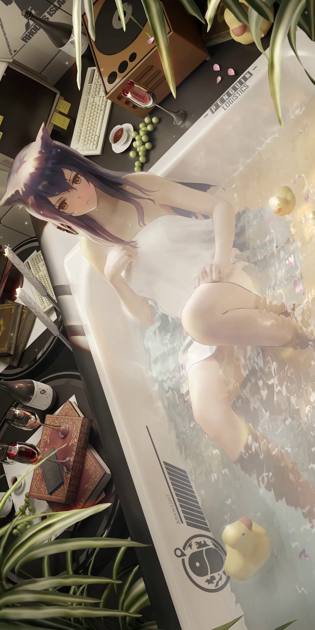 明日方舟德克萨斯