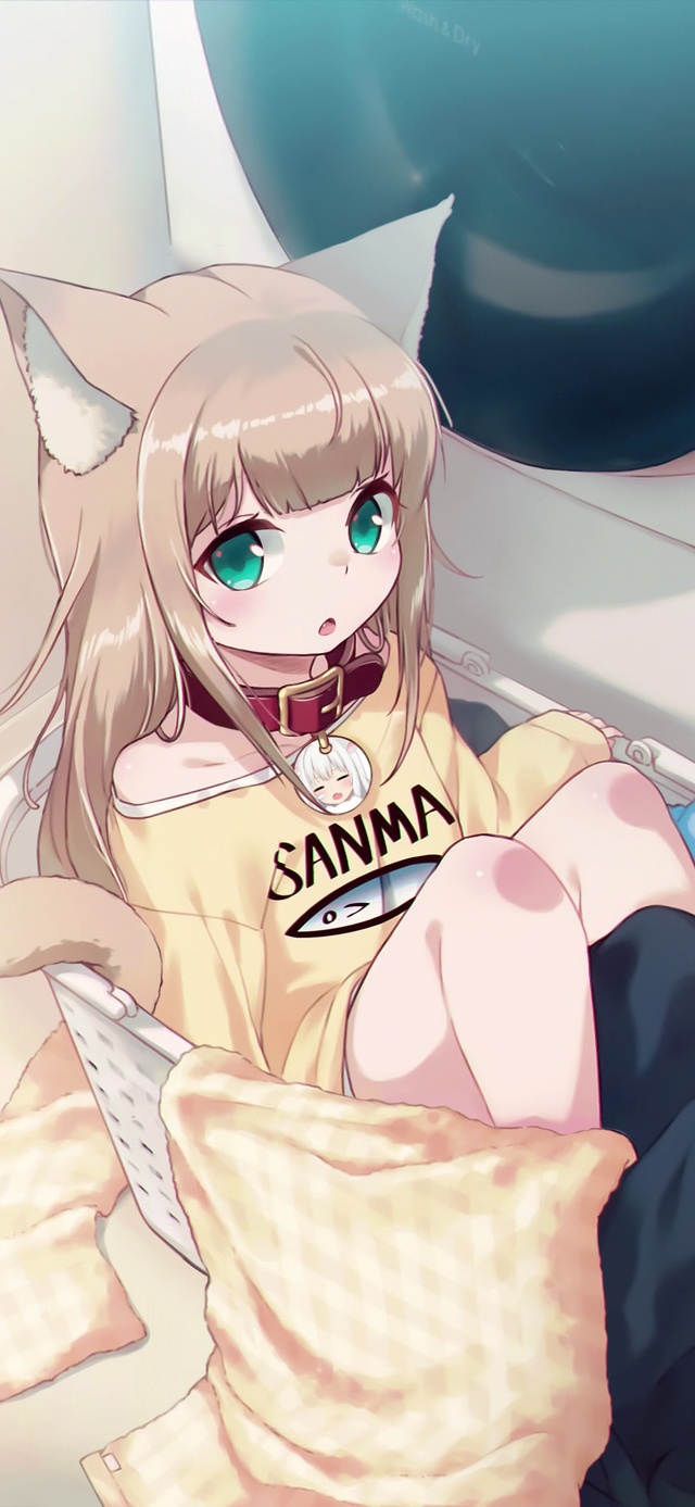 猫猫这么可爱，您要来一只嘛？
原图画师PIXIV插画网站：40原
图片ID：86050183
动态效果制作：Ae小兔几
制作不易，请勿盗用，转载请注明：元气桌面、原图画师以及『Ae