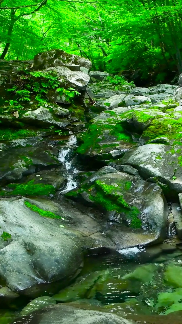 护眼山涧小溪