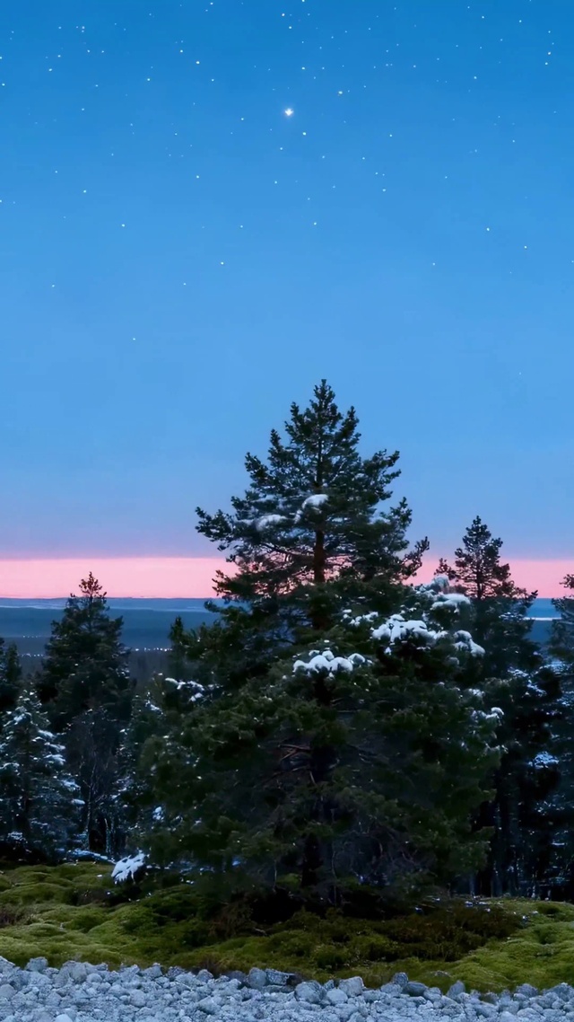 暮色星空森林雪景
