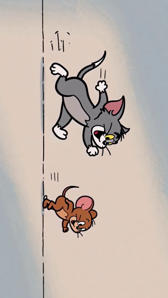 猫和老鼠