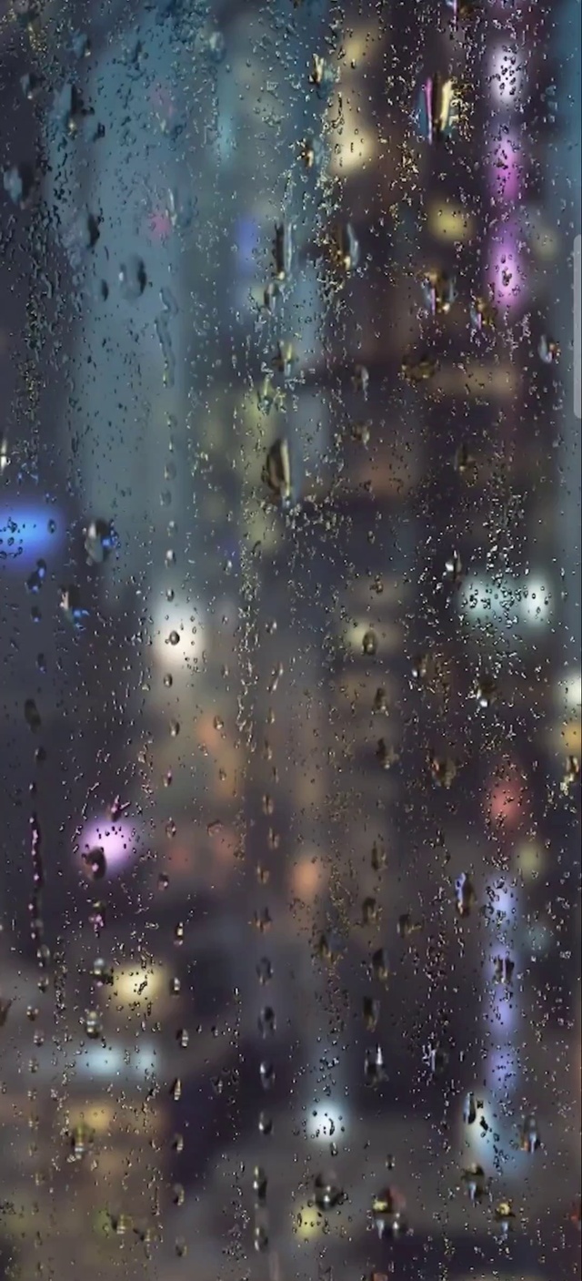 Rain
