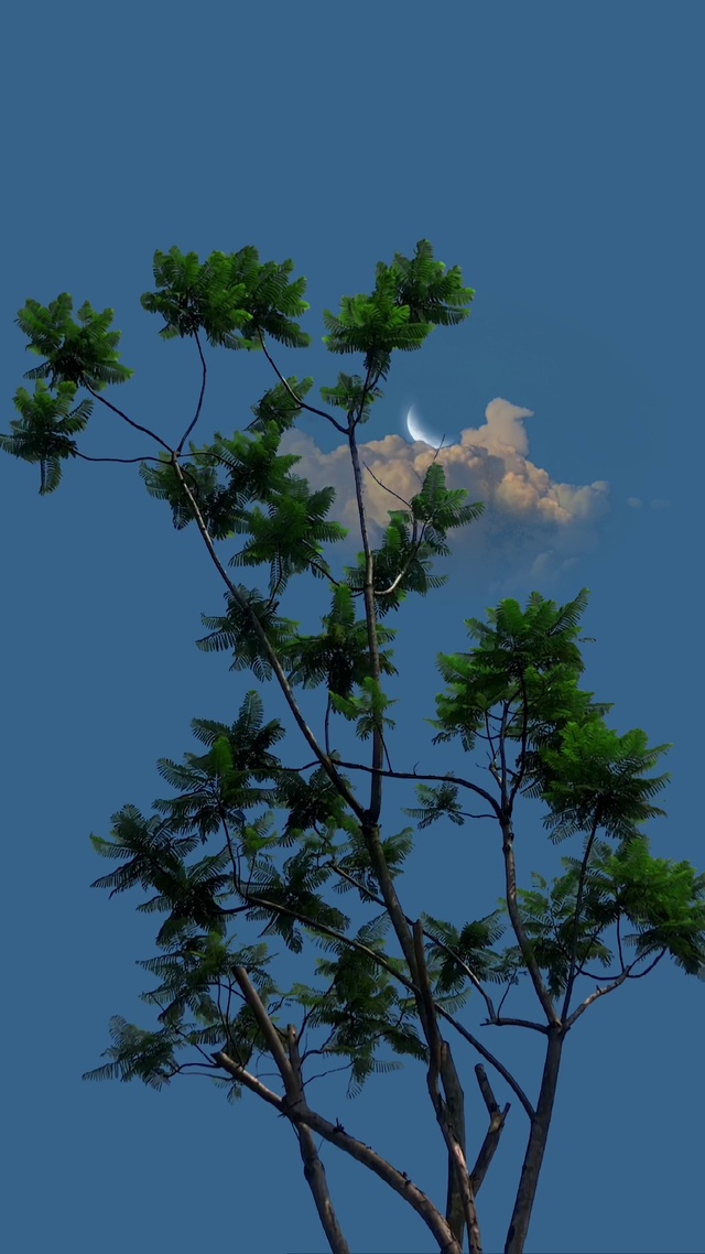 4K超清治愈系风景