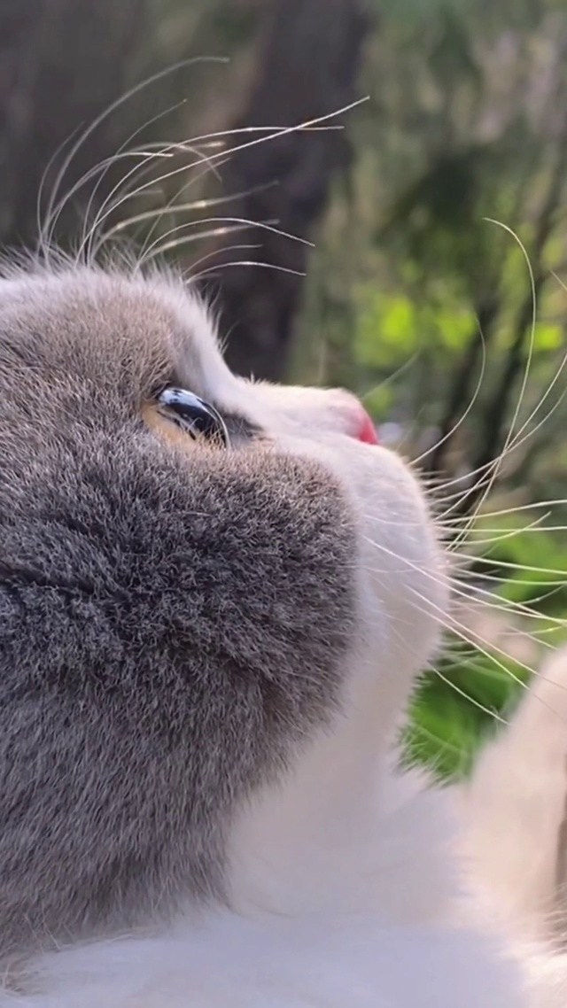 今天的不开心就到此为止吧！