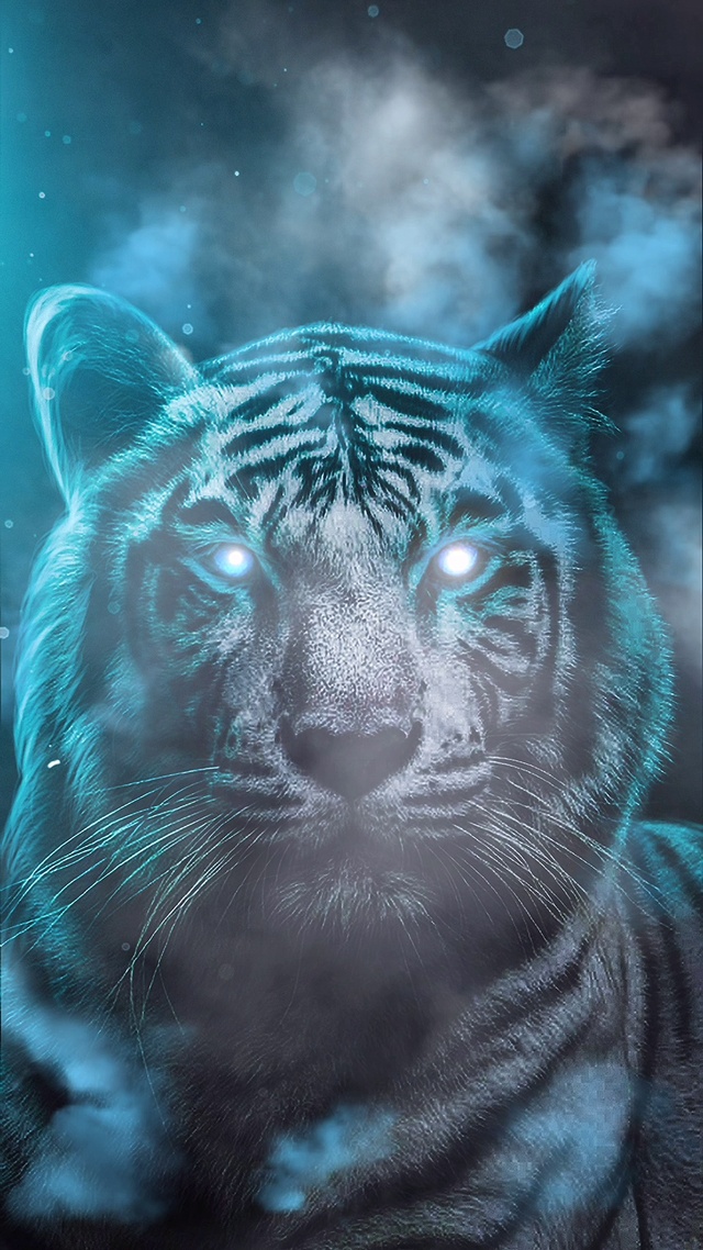 虎 动物手机动态壁纸 动物手机壁纸下载 元气壁纸 虎 动物手机动态壁纸 动物手机壁纸下载 元气壁纸