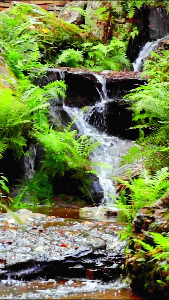 4K唯美治愈小溪流水