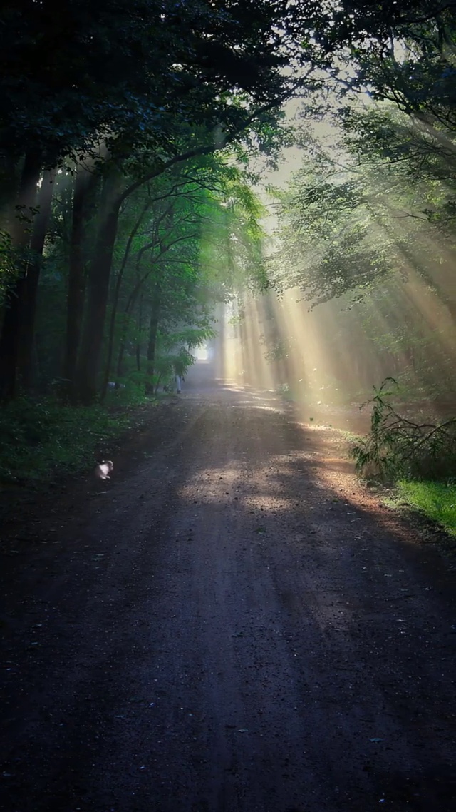 比起有人左右我情绪的生活，我更喜欢无人问津