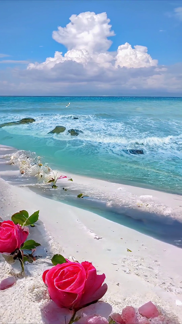 浪漫治愈花海