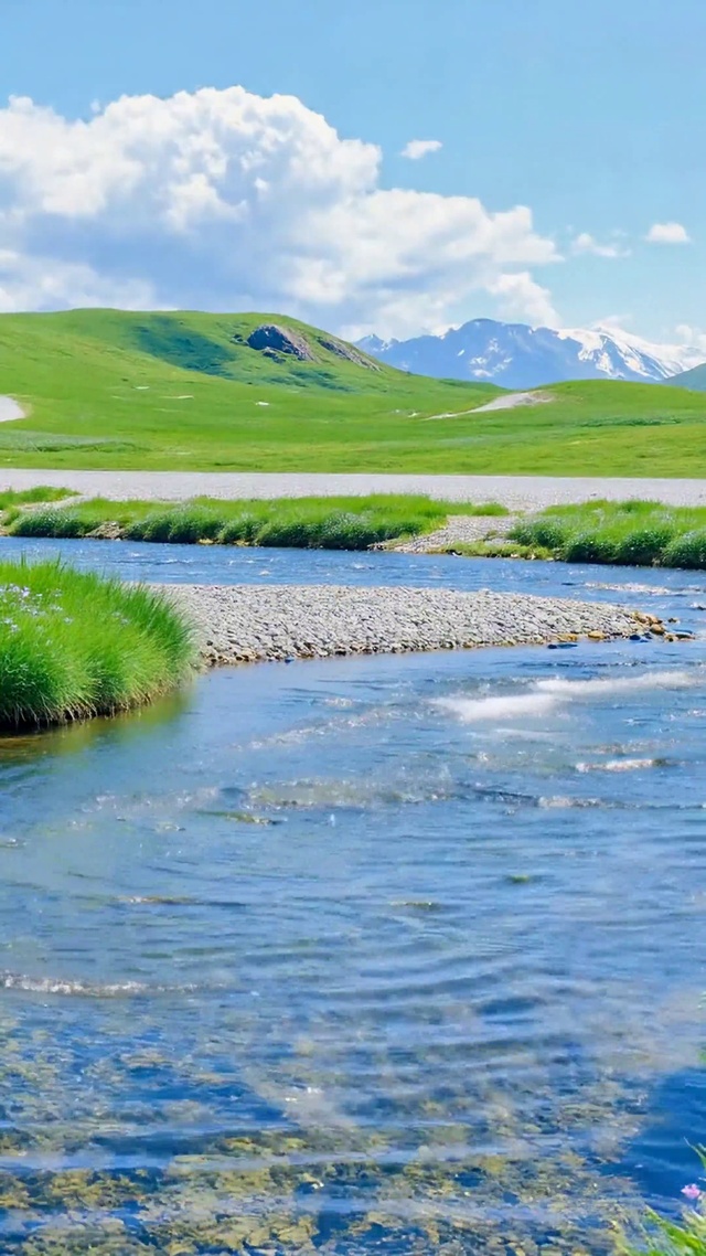 清新河畔绿草原野风景