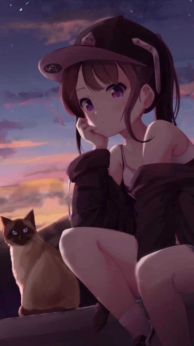 落日晚霞少女与猫唯美风景