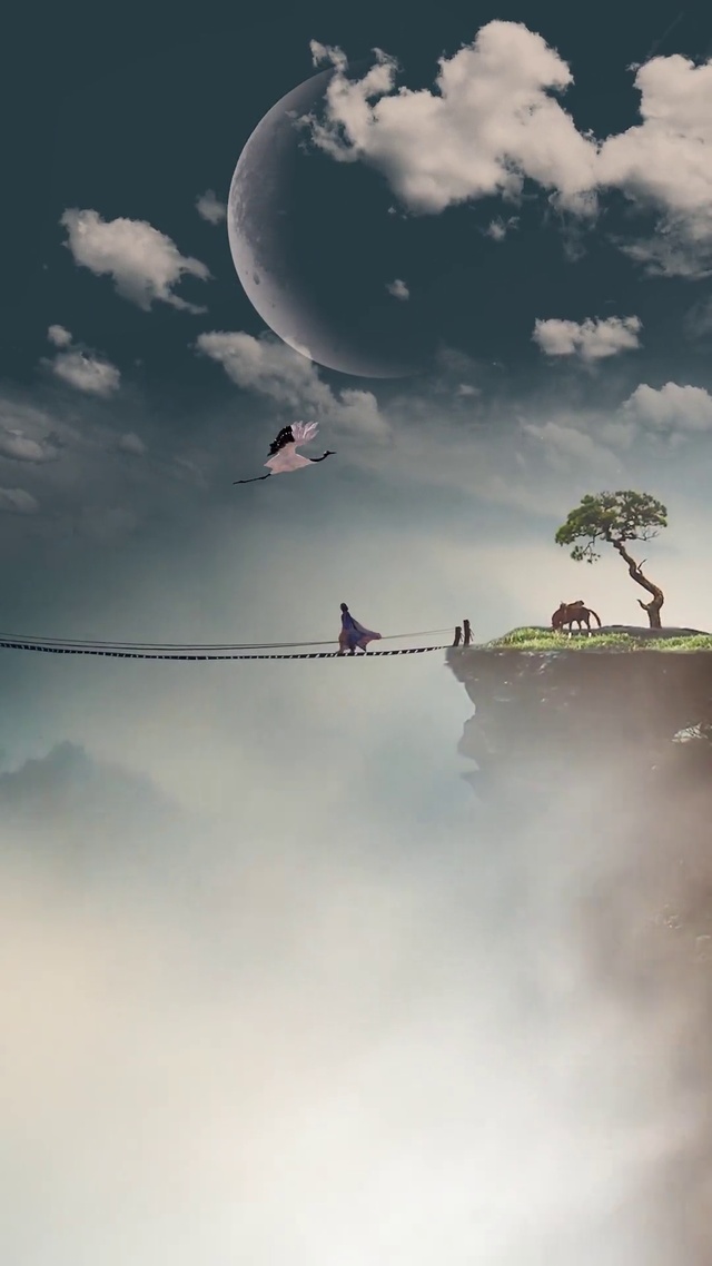 一人，一鹤，一轮月，一湖，一树，一远山，一群白露画天边！