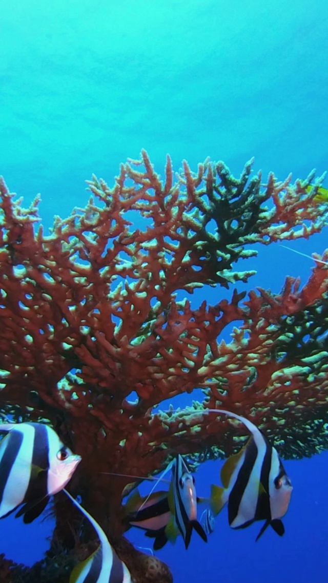 海底水族馆
