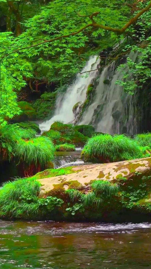 4K夏日清凉山涧溪流